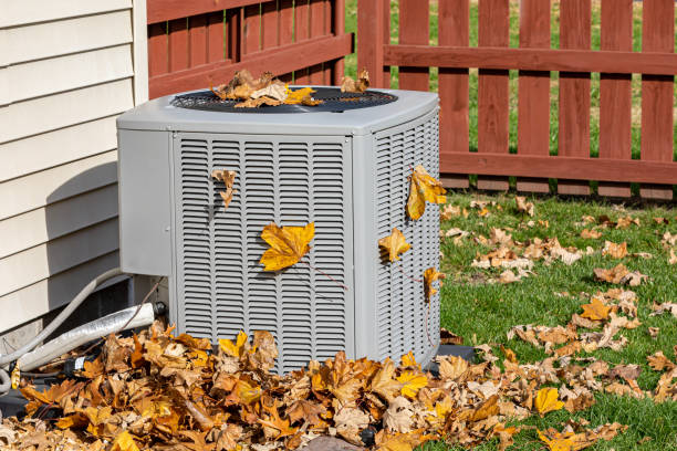 Best Heating repair services  in Mcalmont, AR